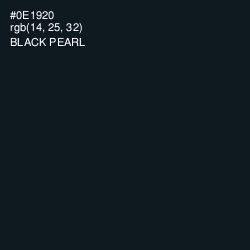 #0E1920 - Black Pearl Color Image